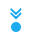 badge.Military.png